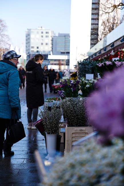 A bustling outdoor flower market with various floral arrangements and bouquets on display, including vibrant purple, white, and pink flowers arranged in white vases and crates. Customers, dressed warm