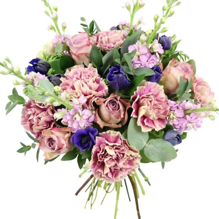 This hand-tied bouquet, set against a clean white background, radiates the relaxed elegance you might expect from a local Walthamstow florist who understands both tradition and modern style. At its core, full-bloom garden roses in shades of blush pink and dusty mauve open outward, their petals layered like soft silk, forming a romantic focal point. Surrounding them, generous carnations in creamy beige and blush softly transition to deeper rose and plum along their ruffled edges, building volume and a sense of gentle movement. Breaking through the pastel shades, rich accents of deep indigo-blue appear as smooth, tightly closed buds, while a prominent royal blue anemone with a nearly black centre sits near the front, adding striking contrast and visual depth. Slender spires of lilac and pale lavender stock rise above and between the main blooms, their many small, clustered flowers bringing airiness and a suggestion of delicate fragrance. The arrangement is cradled in lush greenery, from dark, glossy leaves to rounded, silvery eucalyptus that adds a cool, modern touch and hints at a fresh, aromatic scent. The stems are gathered neatly at the bottom, visible and cleanly cut, suggesting a bouquet freshly prepared for same-day delivery around Hoe Street, Walthamstow Village, or near Lloyd Park. The colour palette of romantic pinks, gentle purples, dramatic blues, and fresh greens creates a balanced, sophisticated feel, perfect for celebrating milestones, congratulating a new home in E17, sending birthday wishes, or simply brightening a Walthamstow studio with something beautiful and thoughtfully arranged.